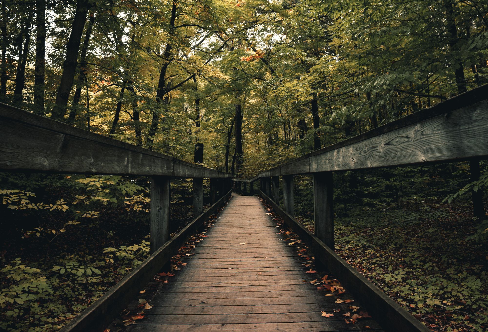 Lyme Disease: Tips, Tricks, and Prevention